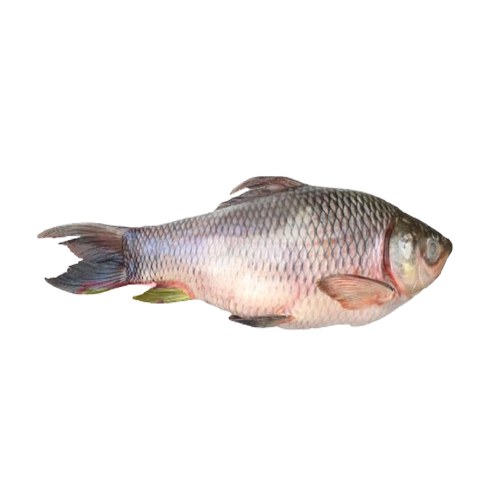 Rohu / Mboto Fiskbitar 1 kg fryst