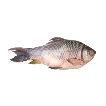 Rohu / Mboto Fiskbitar 1 kg fryst